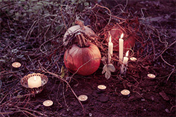 Halloween Pumpkins