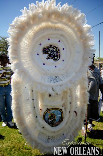 Mardi Gras Indians