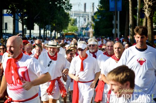 Running of the Bulls in New Orleans