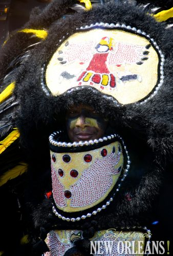 Mardi Gras Indians