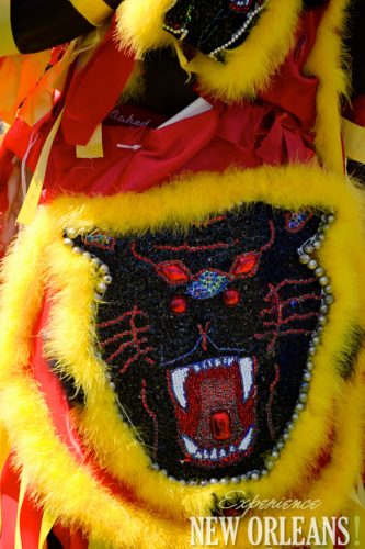 Mardi Gras Indians