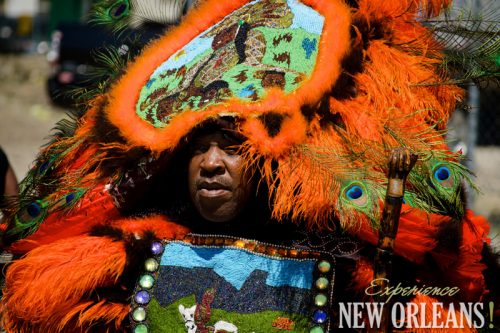 Mardi Gras Indians