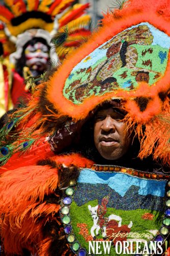 Mardi Gras Indians