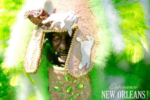 Mardi Gras Indians