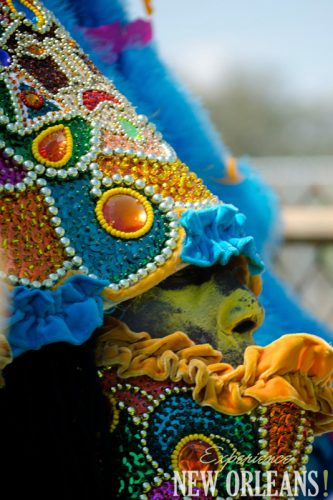 Mardi Gras Indians