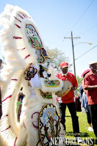 Mardi Gras Indians