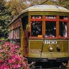 Spring Break In New Orleans