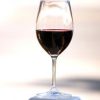 March in New Orleans: Beer, Wine and Music