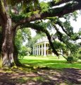 Houmas House Plantation Tour