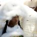 Mardi Gras Indians