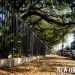 New Orleans