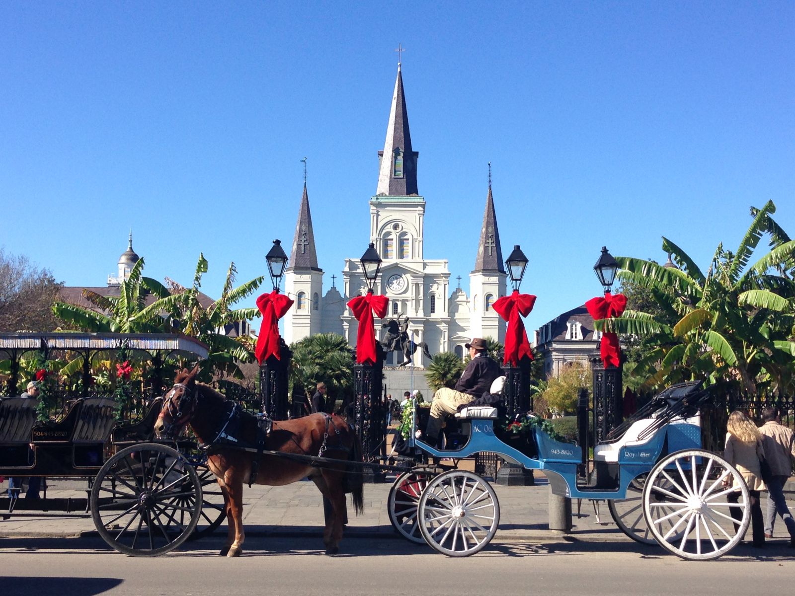 Things to Do Thanksgiving week Experience New Orleans!