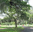 audubon park