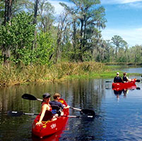 New Orleans Kayak Swamp Tours