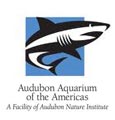 Audubon Aquarium of the Americas