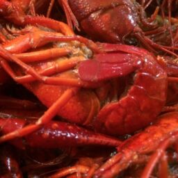 May in New Orleans: Music, Mudbugs and Mom!