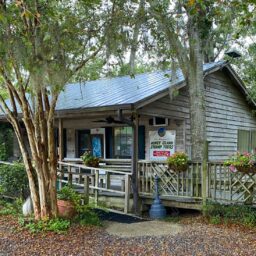 Everybody’s Buzzing about Dr. Wagner’s Honey Island Swamp Tour