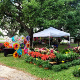 Blooms & Barks at Destrehan Plantation