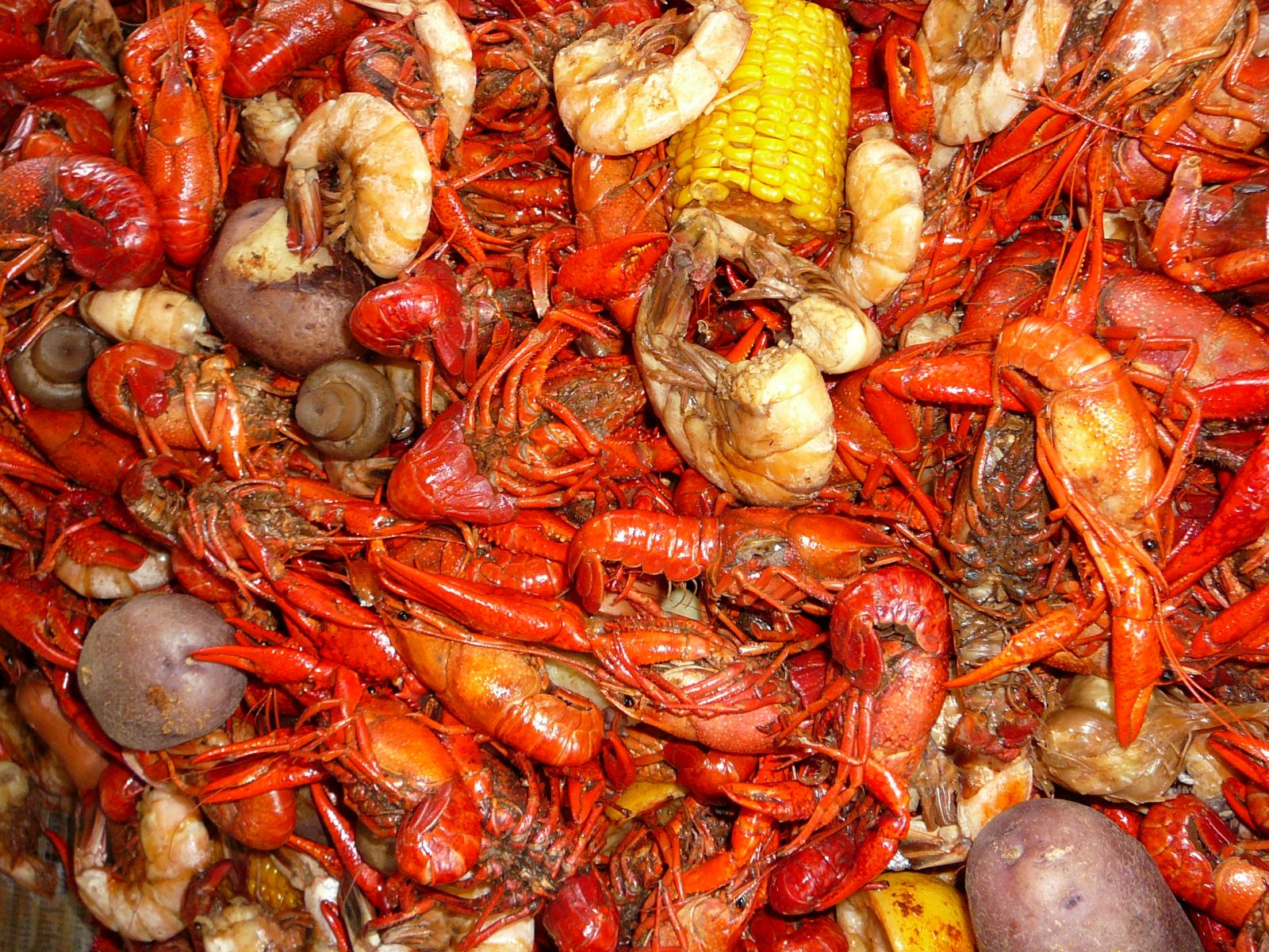 New Orleans Recipes