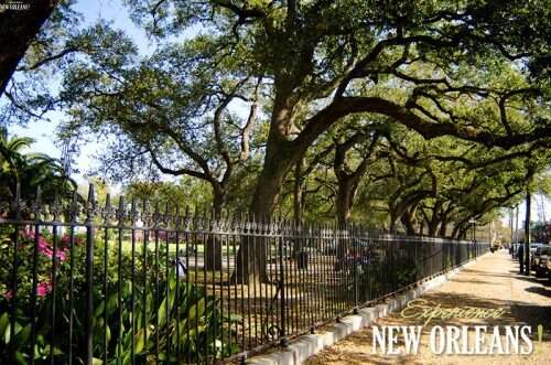 New Orleans Photo Gallery