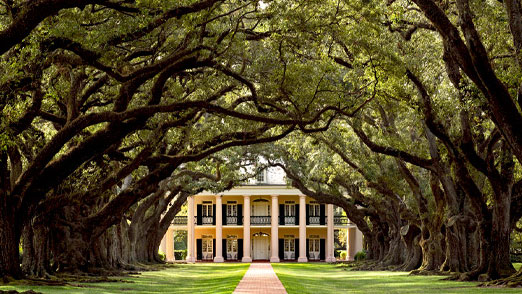 Oak Alley Plantation