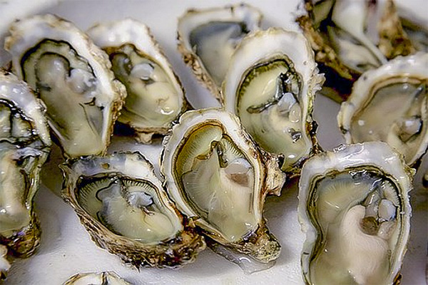 New Orleans Oyster Festival