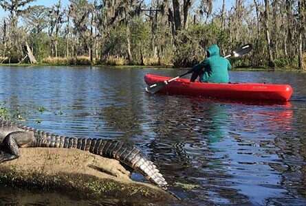 Tourkayak 5de44f0d5fee8