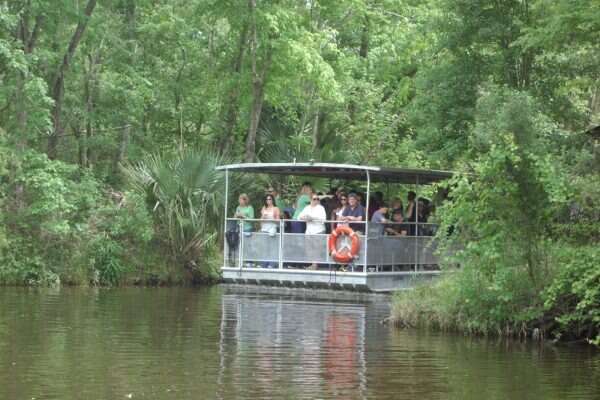 Jean Lafitte Swamp