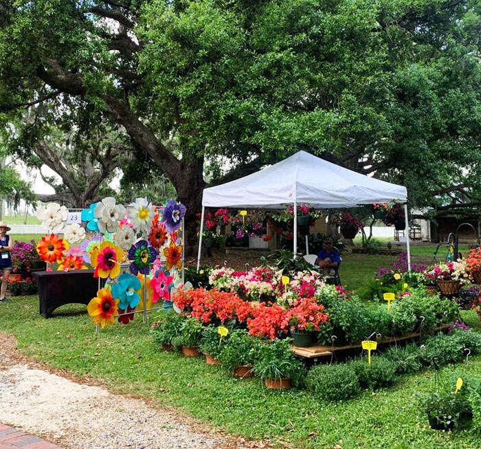 Blooms & Barks at Destrehan Plantation