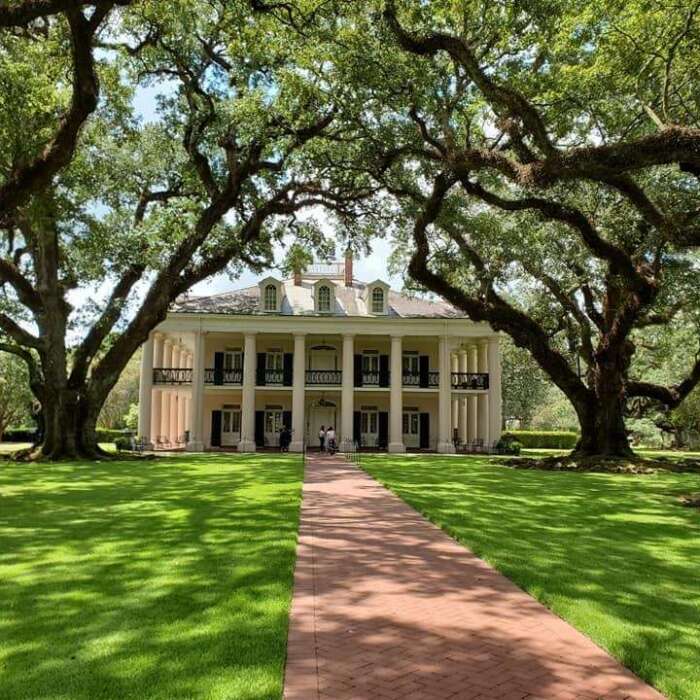 Top 5 Things To Do This Month Off the Parade Route