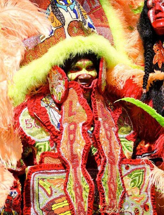 Mardi Gras Indians: 2013 Super Sunday