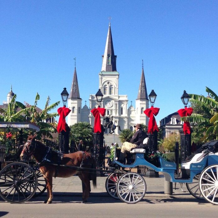 Things to Do Thanksgiving week